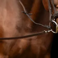 Sidotyglar i läder Core Imperial Riding