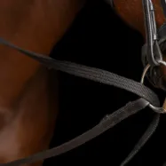 Glidtyglar Core Imperial Riding