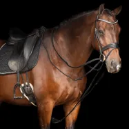 Glidtyglar Core Imperial Riding