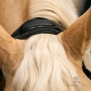 Lädergrimma Hera Imperial Riding