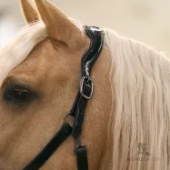 Lädergrimma Hera Imperial Riding