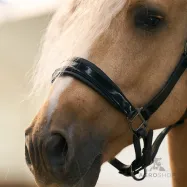 Lädergrimma Hera Imperial Riding