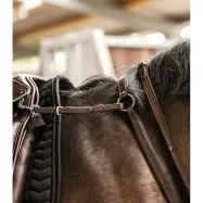 Brösta med martingal Professional Waldhausen X-Line