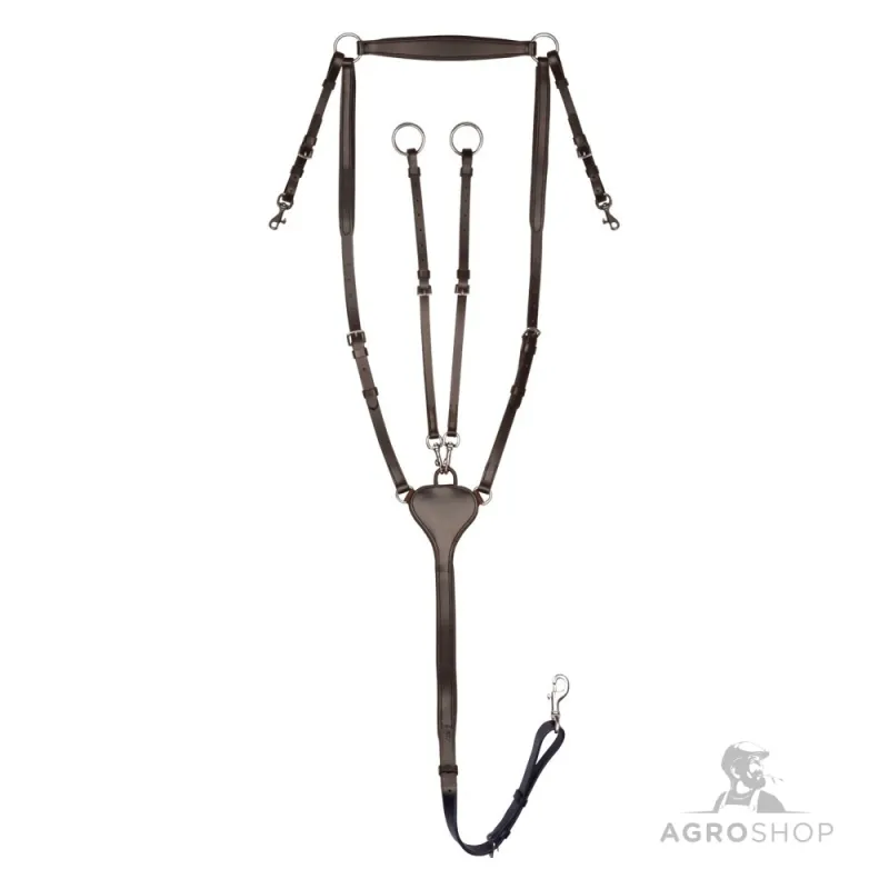 Brösta med martingal Professional Waldhausen X-Line