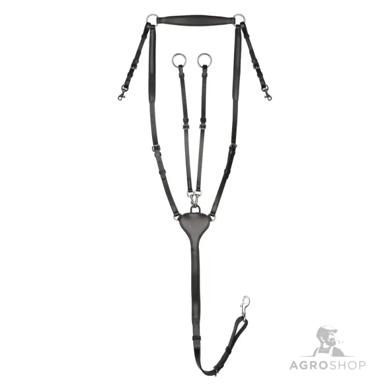 Brösta med martingal Professional Waldhausen X-Line