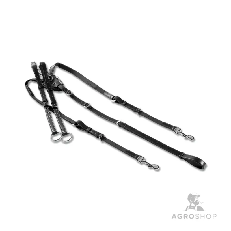 Brösta med martingal Waldhausen X-Line