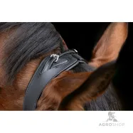 Träns Anatomic Covalliero