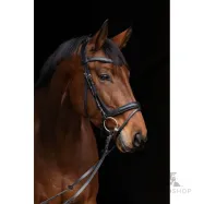 Träns Anatomic Covalliero