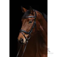 Träns Anatomic Covalliero