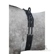 Longeringsgjord Canvas HKM