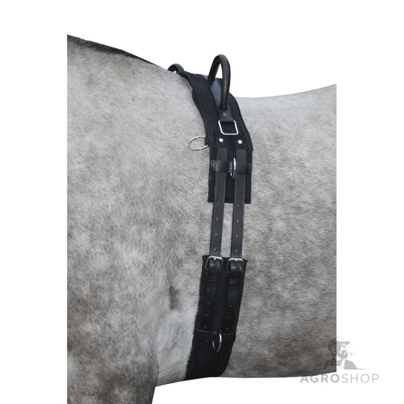 Longeringsgjord Canvas HKM