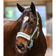 Grimma Elegant Waldhausen