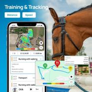 GPS-spårare för hästar FENCEe EquiGPS Track, svart