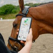 GPS-spårare för hästar FENCEe EquiGPS Track, rosa