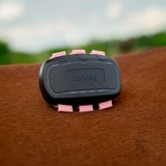 Fästclip för GPS-spårare FENCEe EquiGPS Track, rosa, 3 st